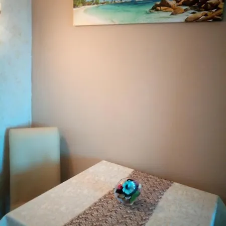 Sunny Studio Apartment